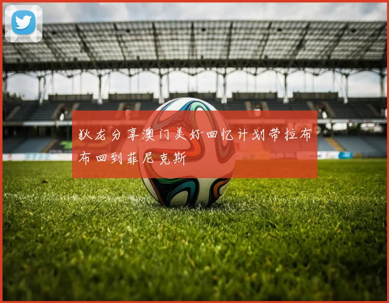 狄龙分享澳门美好回忆计划带拉布布回到菲尼克斯