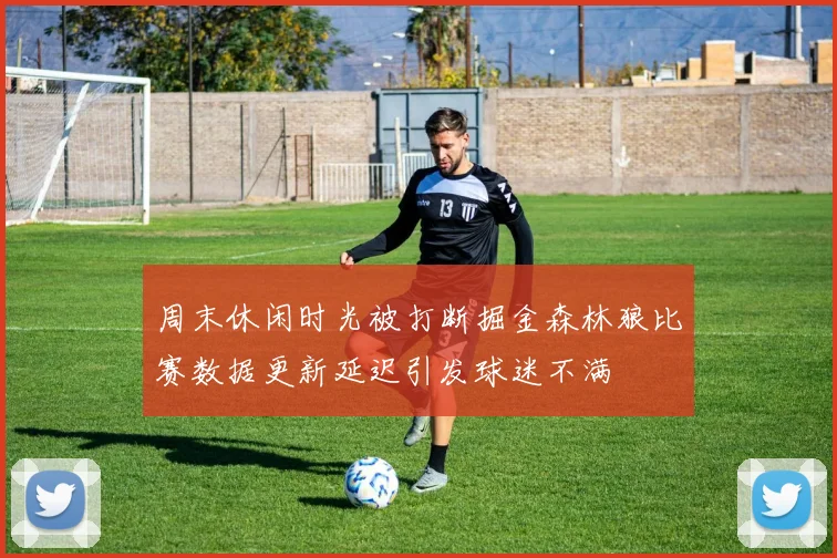 周末休闲时光被打断掘金森林狼比赛数据更新延迟引发球迷不满